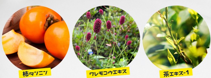 プレミアムデオヴィサージュ